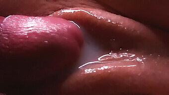 Explore Your New Sexual Preference With Close-Up Footage Of Pussy Fucking