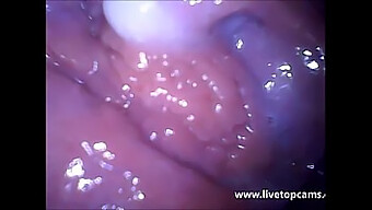 Extreme Close-Up Of Vagina During Masturbation And Orgasm