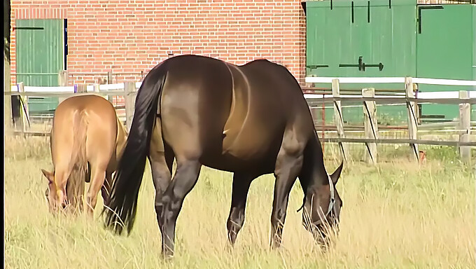 Een Jonge Tiener Met Natuurlijke Borsten Geniet Van Buitenseks Met Zichzelf