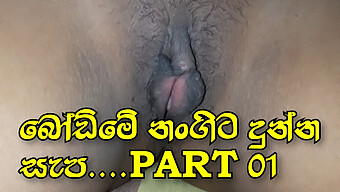 Âm Hộ Sri Lanka Khít Khao Được Mát-Xa Và Ướt Át Trong Video Tự Làm