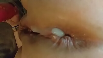 A Collection Of Anal Creampie Scenes With Real Amateurs And Bbw