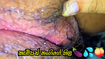 A Sri Lankan 18-Year-Old Gets Schooled In Pleasure With A Big Cock