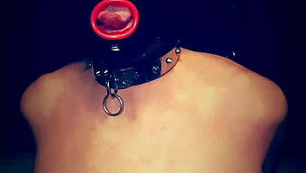 Bdsm-Økt Med En Bondage-Hore Iført Maske