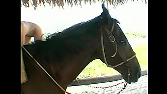 Intensives Hardcore Reiten Mit Blondem Luder