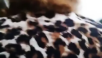 Video Milf Mertua Dari Belakang Di Pagi Hari Yang Buatan Sendiri