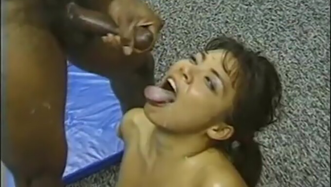 Blowjob Vintage Dan Aksi Payudara Besar Dalam Hd